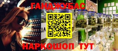 гидра Будённовск