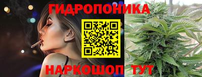 гидра Будённовск